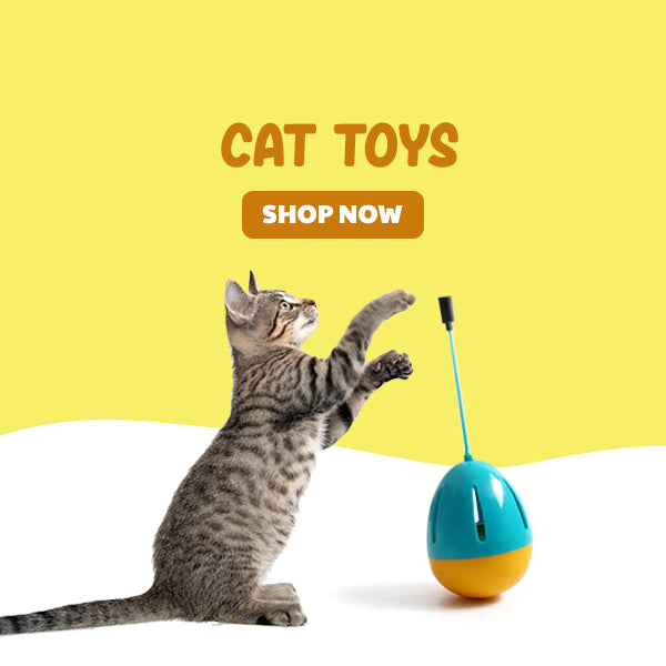 Cat Toys