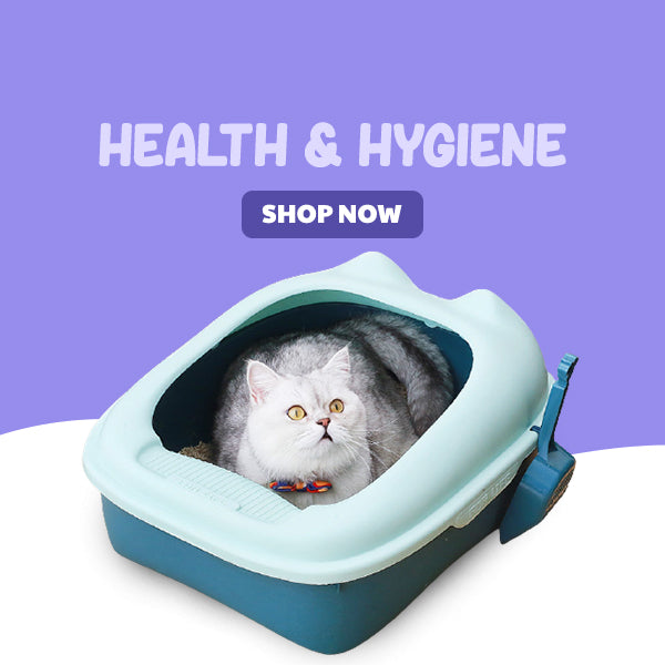 Health & Hygiene