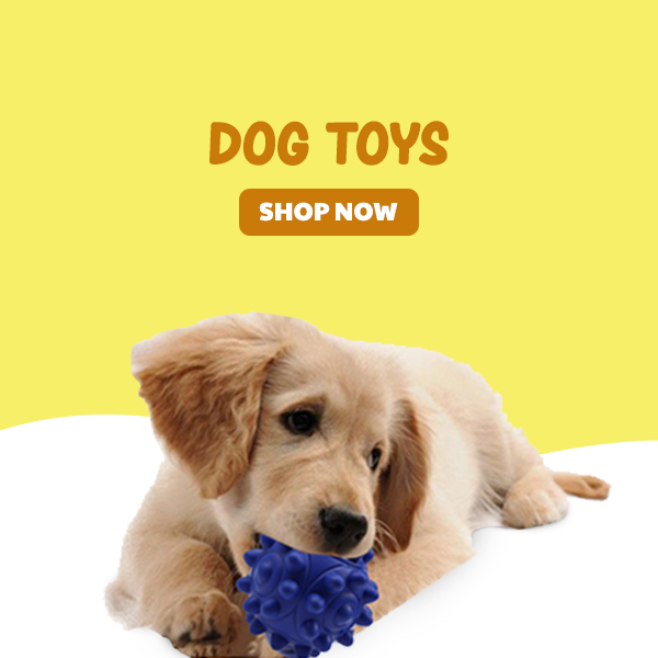 Dog Toys