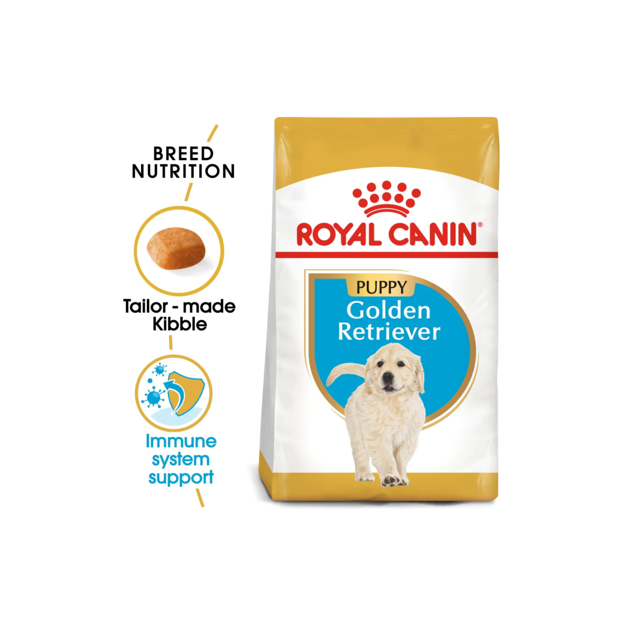 Golden retriever puppy outlet food amount